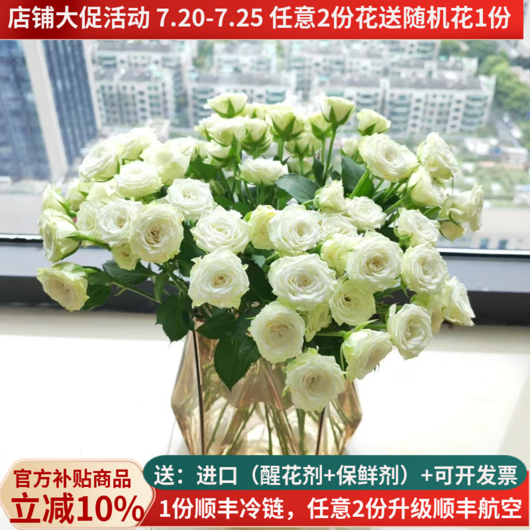 A级多头白色小玫瑰繁星10支