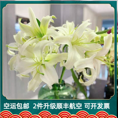 百合花10支 价格 图片 淘宝天猫百合花10支优惠商品大全 综合排行榜 虎窝淘