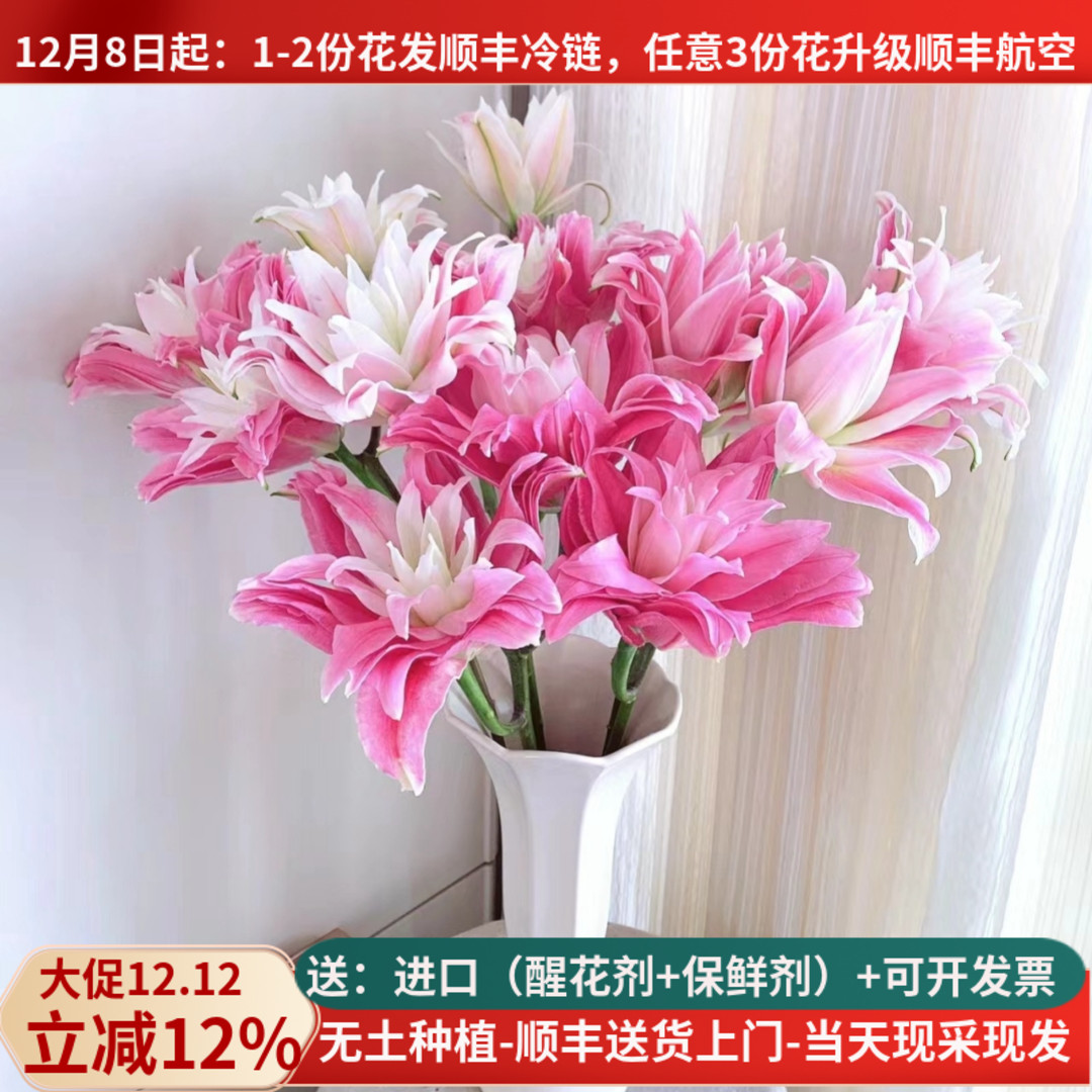 重瓣香水百合多品种现采现发