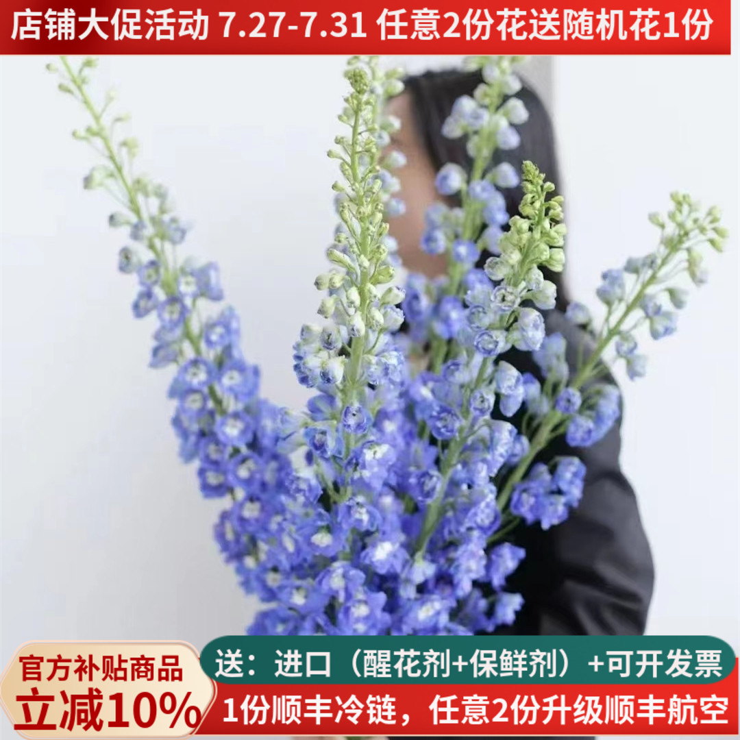 大飞燕家庭插花母亲节基地直发