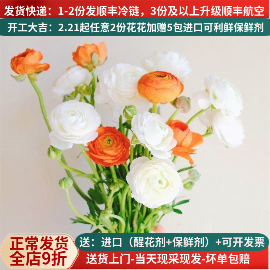 蝴蝶洋牡丹毛茛芍药鲜花云南基地直发昆明斗南直批家用插花水养