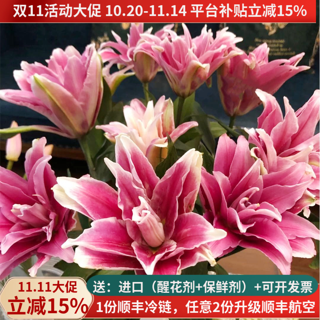 重瓣百合粉色艾琳娜昆明斗南航空包邮家用花农基地直发水养插花