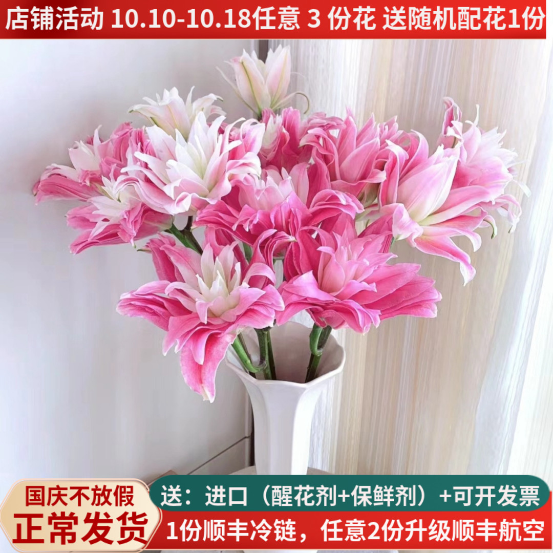 重瓣香水百合多品种现采现发