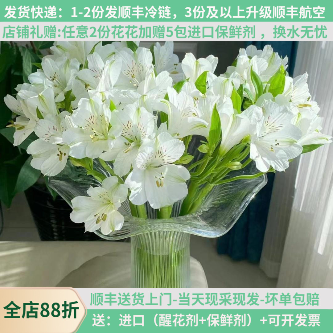 水仙百合六出六初鲜花云南昆明斗南直发顺丰办公家用水养插花花束