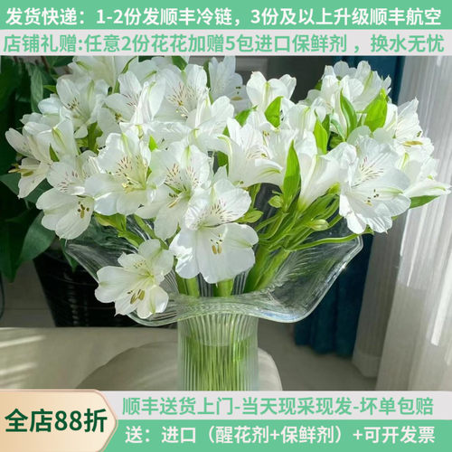水仙百合鲜花六出花云南斗南花市花卉直发直批花束家用水养插花