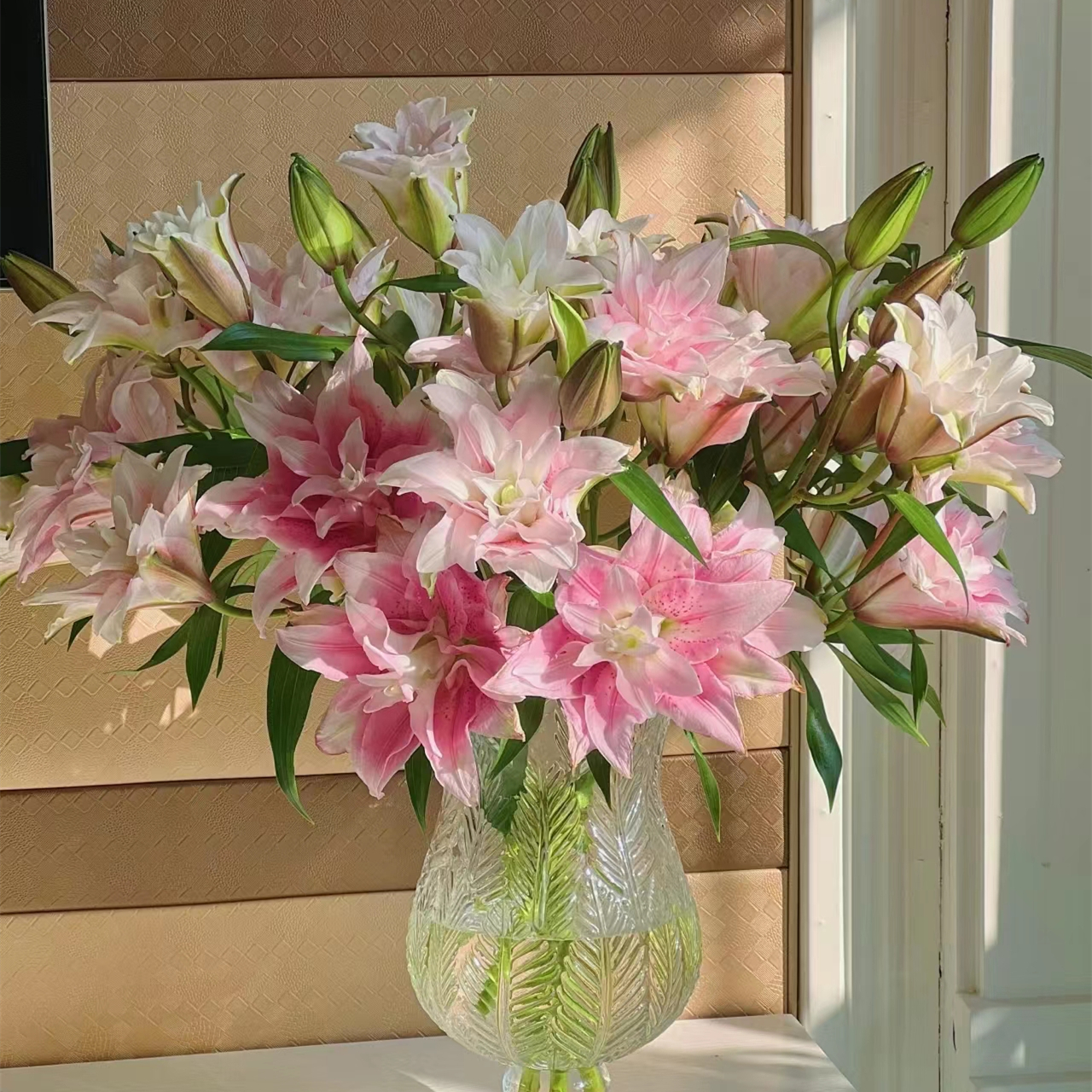 重瓣香水百合伊莎贝拉顺丰包邮