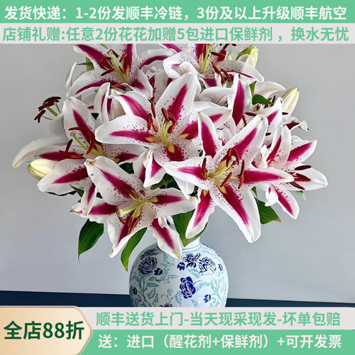 香水百合花鲜花直批粉白黄家用黄天霸水养斗南花束云南花卉昆明 - 封面