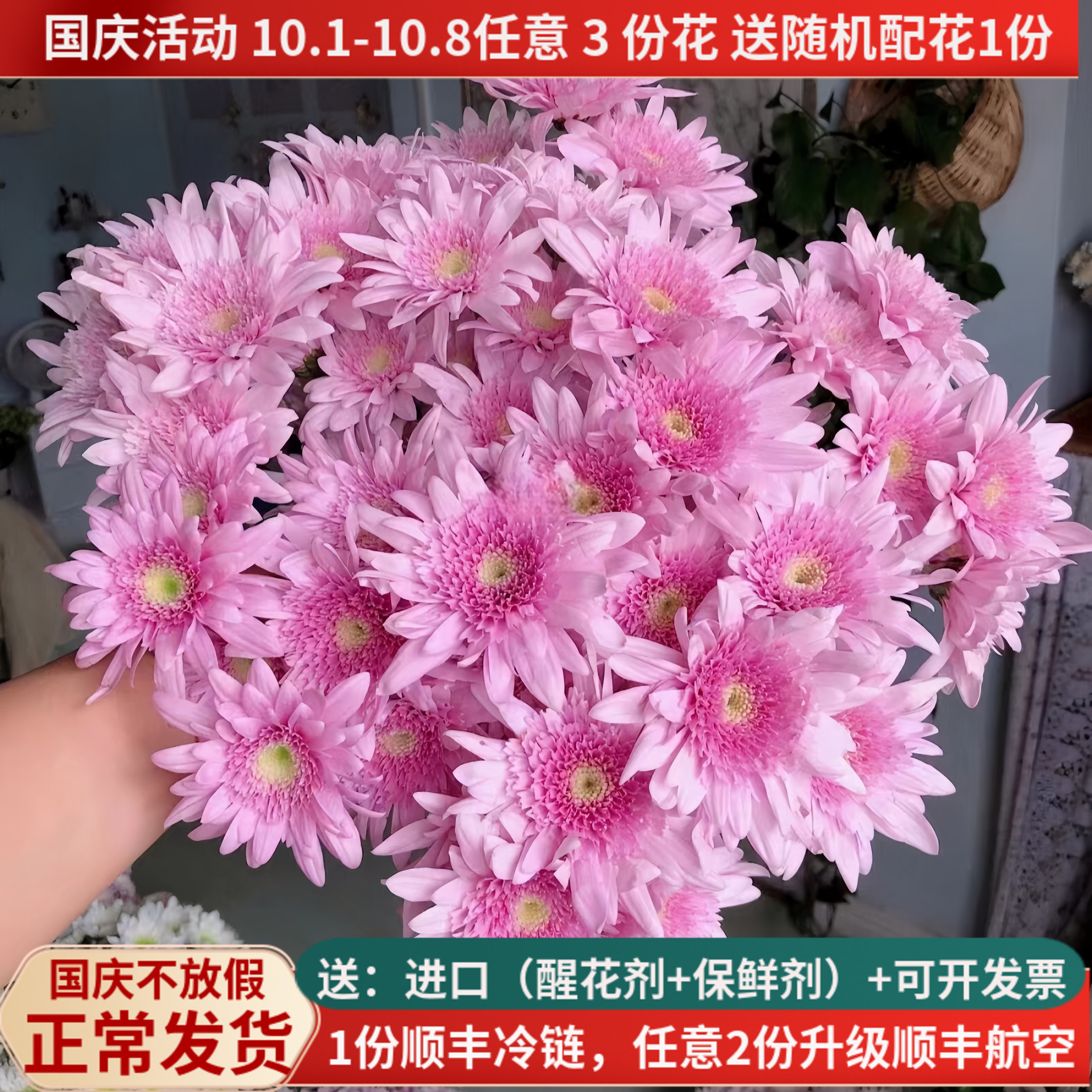 稀有新品小雏菊弥勒粉直发顺丰