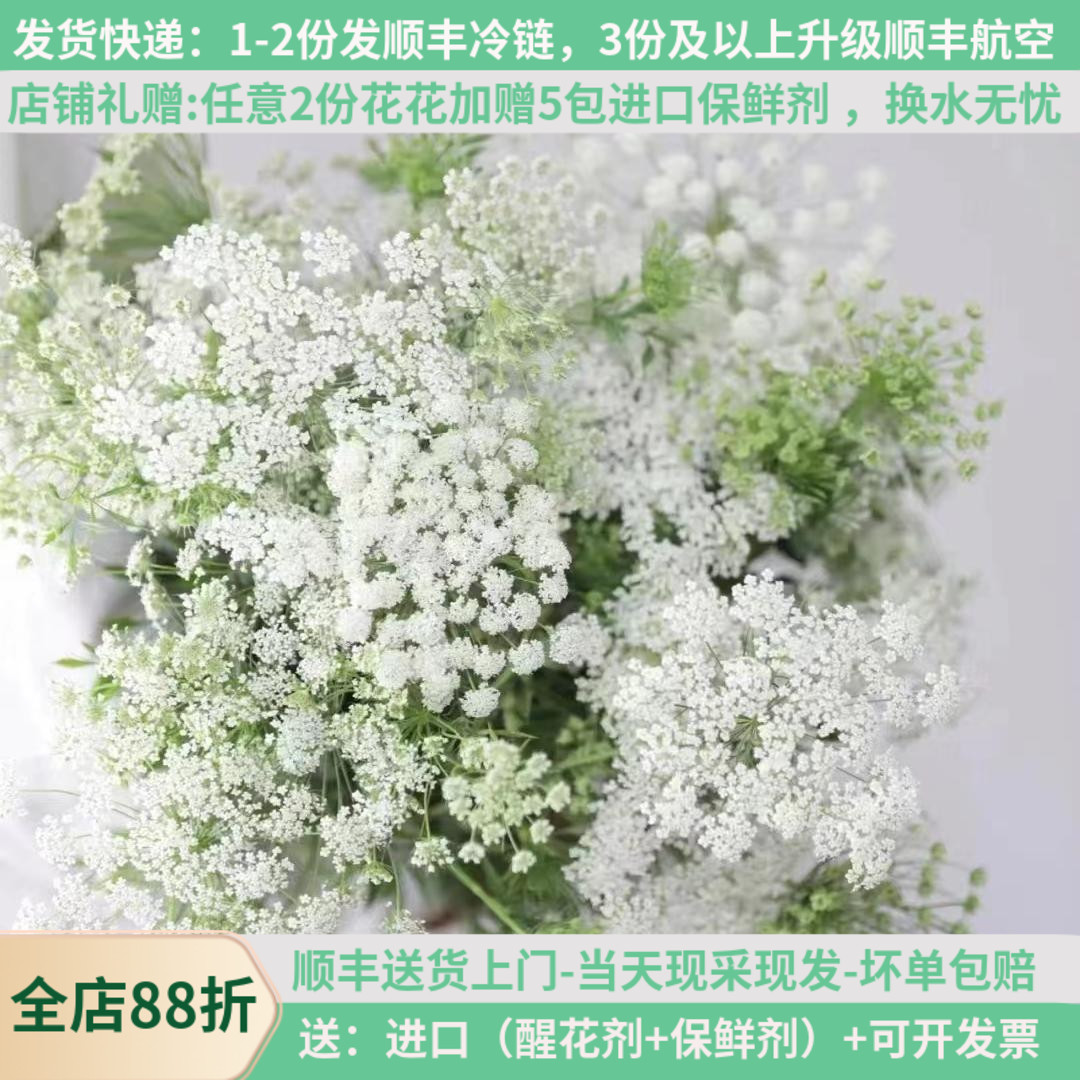 白色蕾丝咖啡色蕾丝小清新配花