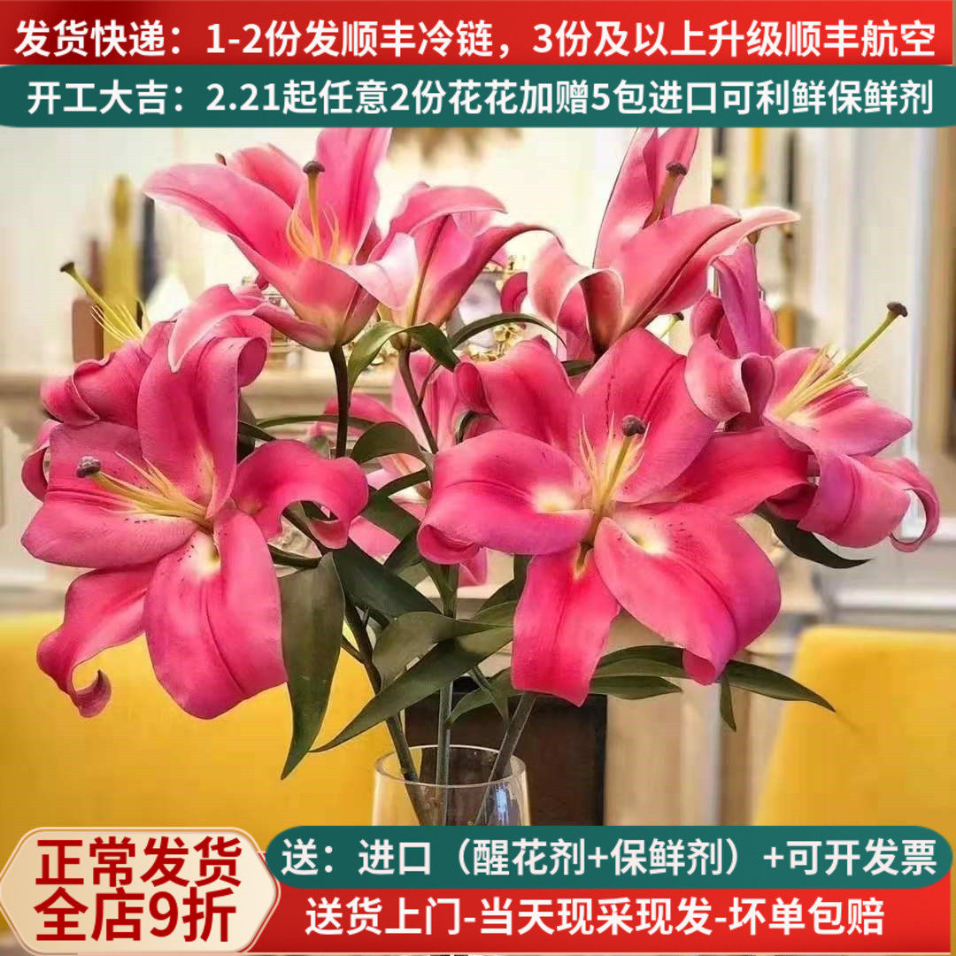百合A罗宾娜鲜花云南基地直发昆明斗南直批顺丰水养花苞红色婚庆