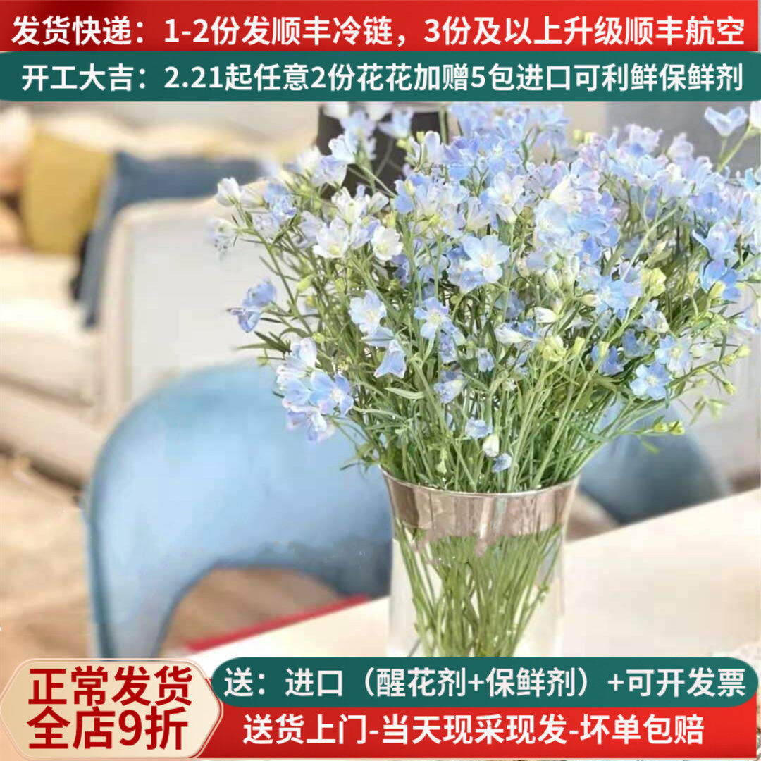 小飞燕鲜花母亲节婚礼家用茶花云南昆明斗南基地直发空运包邮航空