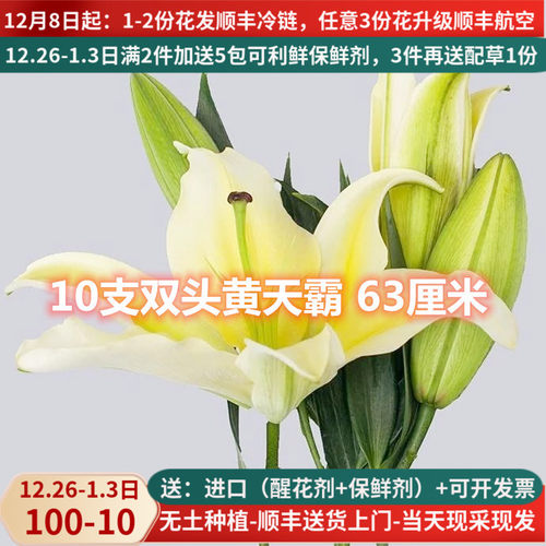 A级香水百合黄天霸10支2头大朵