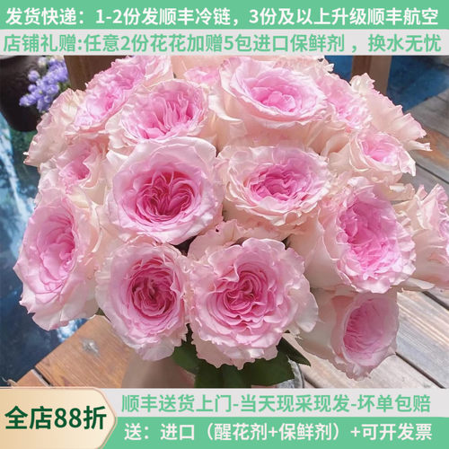 A级稀有玫瑰洛神20支教师节花束