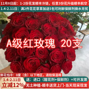 A级高原红传奇红玫瑰鲜花云南昆明斗南市场基地直批直发家用水养