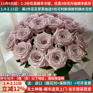 A级曼塔玫瑰花云南鲜花基地直发昆明斗南市场直批水养真花灰色顺
