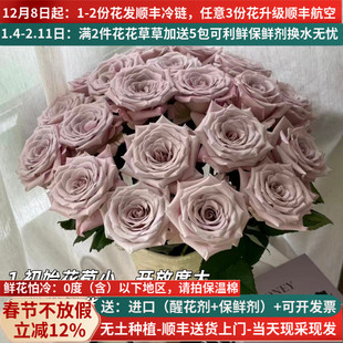 A级曼塔玫瑰花云南鲜花基地直发昆明斗南市场直批水养真花灰色顺