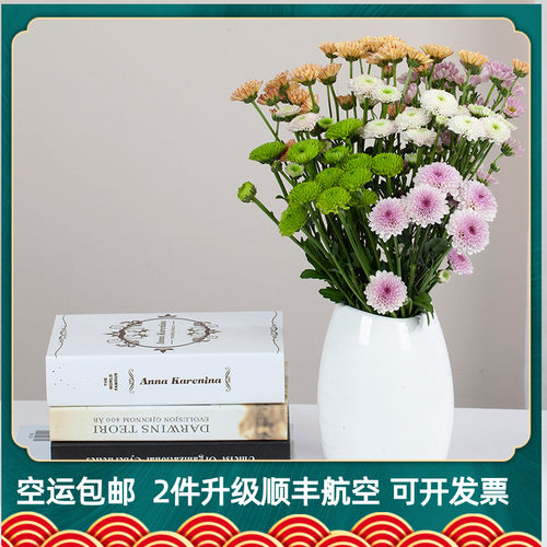 小皱菊花束鲜花素材模板 小皱菊花束鲜花图片下载 小麦优选