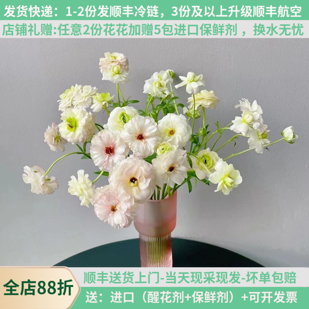 鲜切花珠光蝴蝶洋牡丹基地洋牡丹