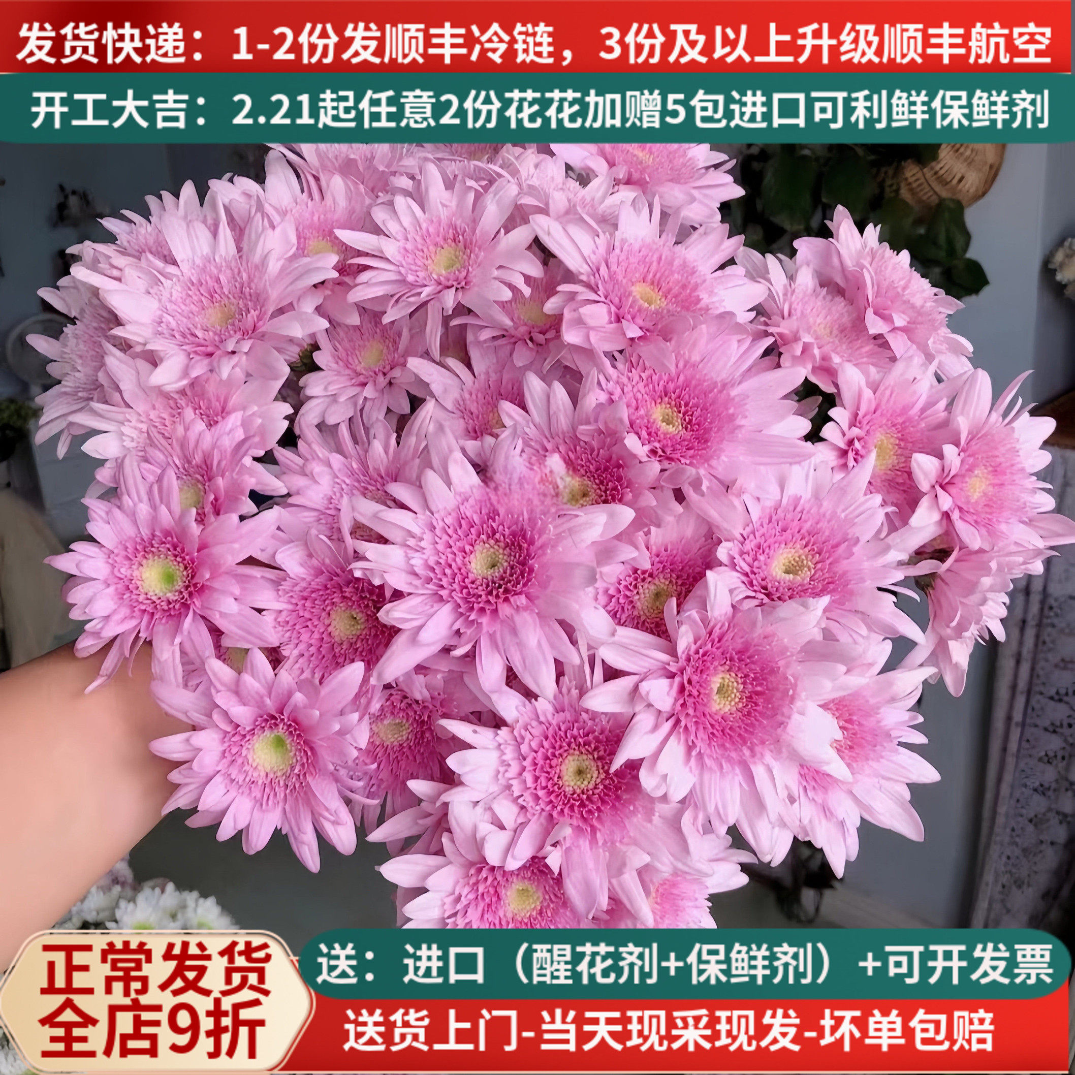 稀有新品小雏菊弥勒粉直发顺丰