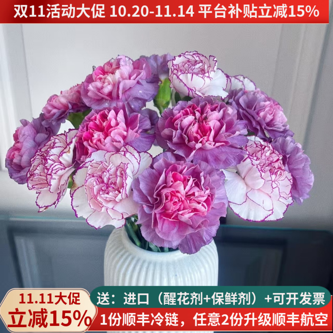 稀有康乃馨新品-多色集合可选