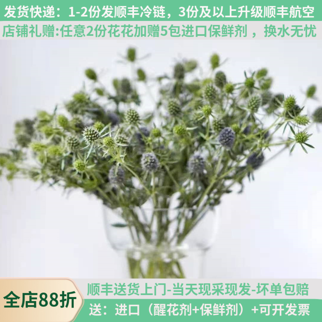 情人果小刺秦云南鲜花昆明蓝色