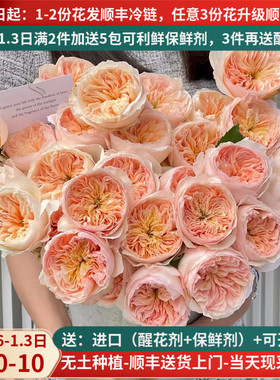 鲜花高端稀有奥斯丁玫瑰朱丽叶云南昆明斗南市场基地直发水养花束