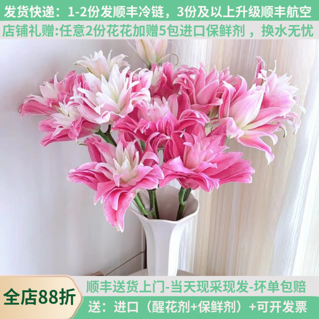 重瓣香水百合多品种现采现发