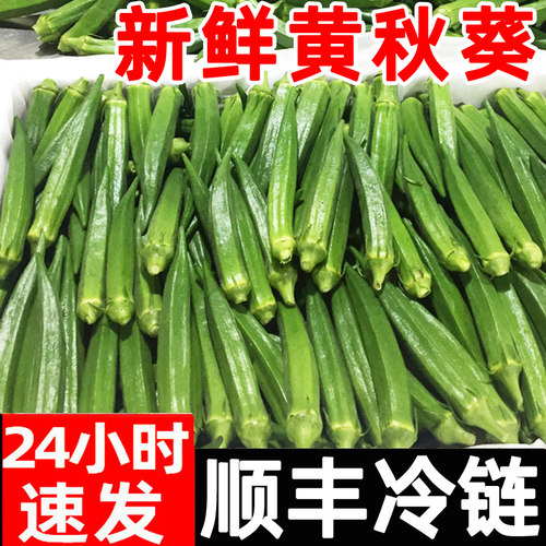 黄秋葵顺丰新鲜应季六角豆现摘