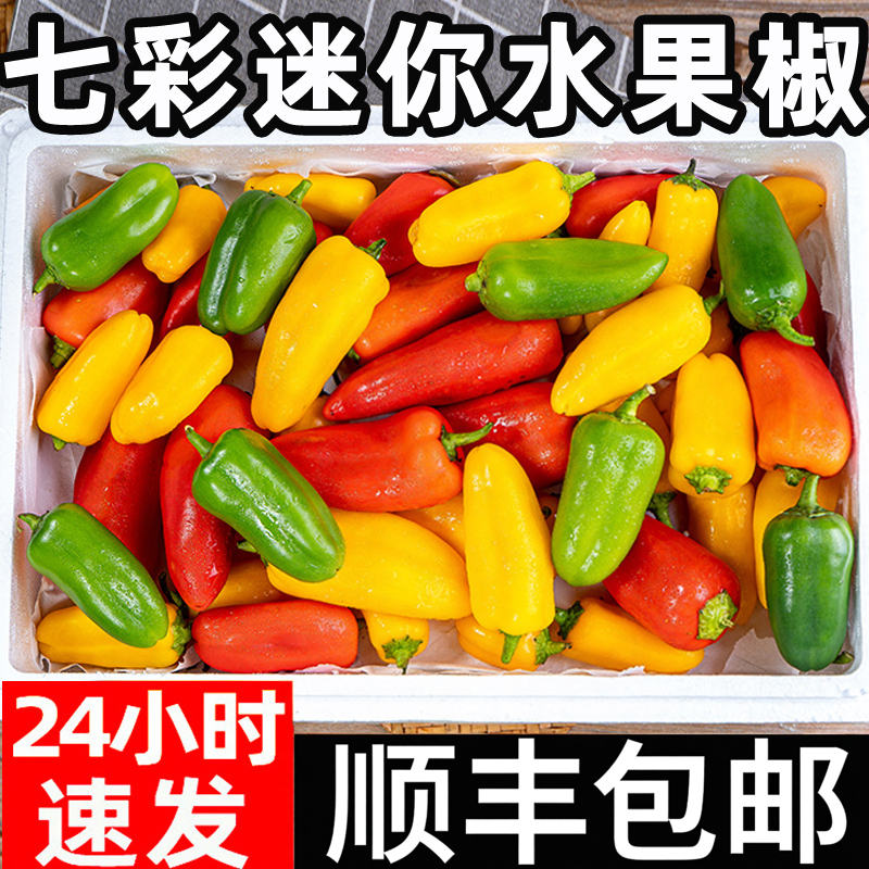 迷你水果椒当季新鲜生吃五彩甜椒生吃红灯笼小辣椒沙拉蔬菜包邮