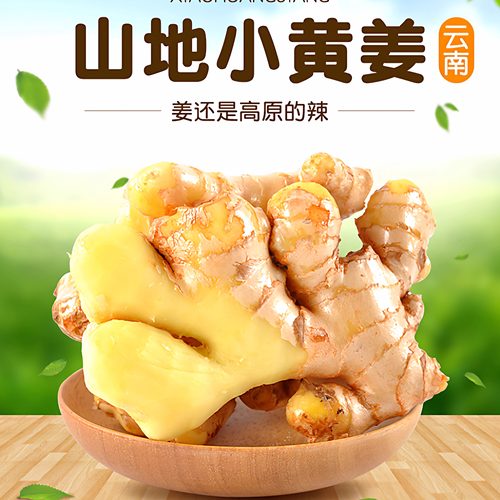 生姜老姜鲜现挖大黄姜现挖