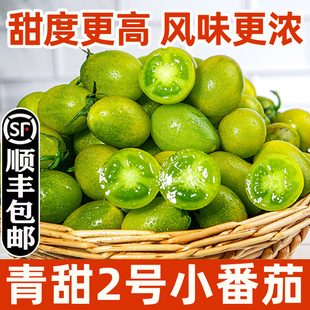 青口蜜圣女果绿色青甜樱桃小番茄新鲜绿千禧即食小柿子生吃顺丰