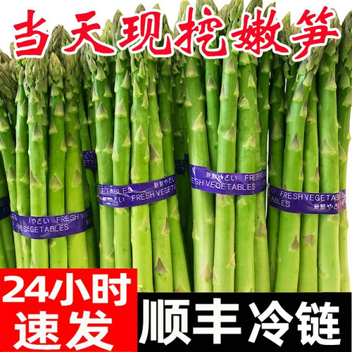 新鲜芦笋顺丰只发现挖嫩笋