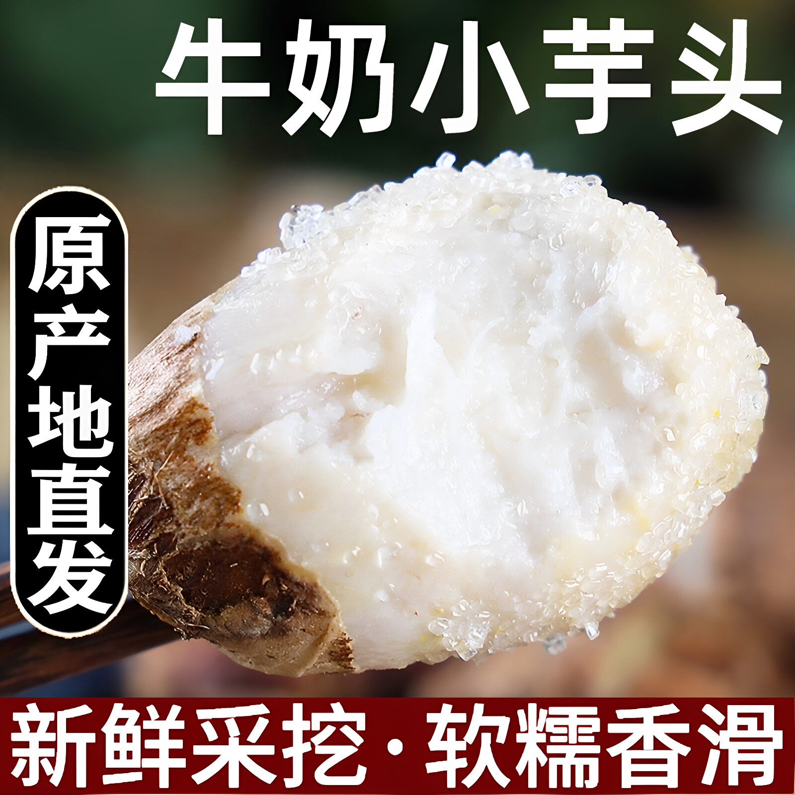 新鲜芋头5斤山东小芋头农家蔬菜芋艿自种现挖芋头软糯毛芋头