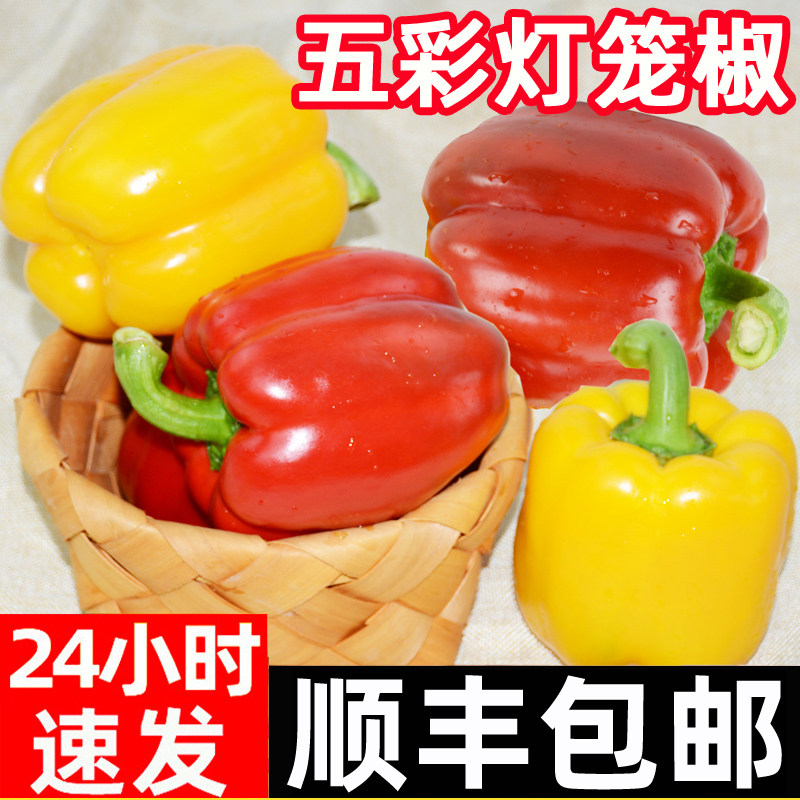 新鲜水果彩椒生吃五彩辣椒七彩灯笼甜椒寿光蔬菜青小米圆辣椒蔬菜
