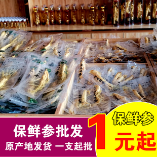 东北长白山人参吉林保鲜参袋装一等新鲜鲜参泡水整枝满50包邮商用