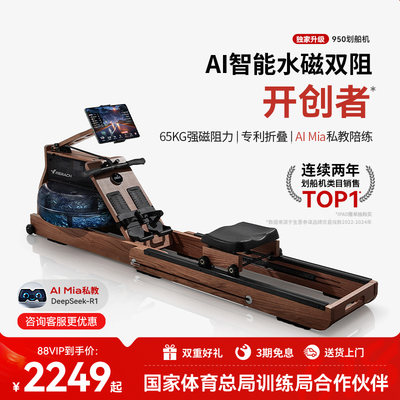 麦瑞克水磁双阻划船机950