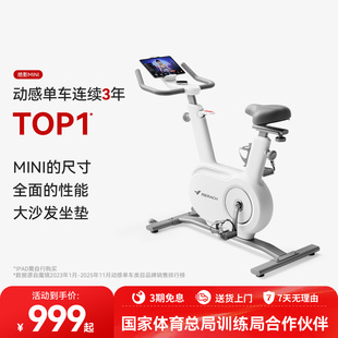 麦瑞克动感单车家用运动健身磁控自行车减肥器材室内静音智能mini
