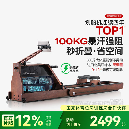 麦瑞克水磁双阻划船机950