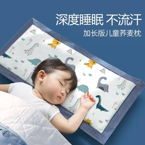 儿童枕头3 6 10岁以上卡通决明子荞麦吸汗幼儿园午睡枕头四季通用