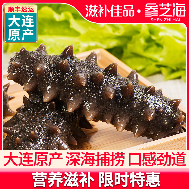 大连即食海参500g野生单个装辽参