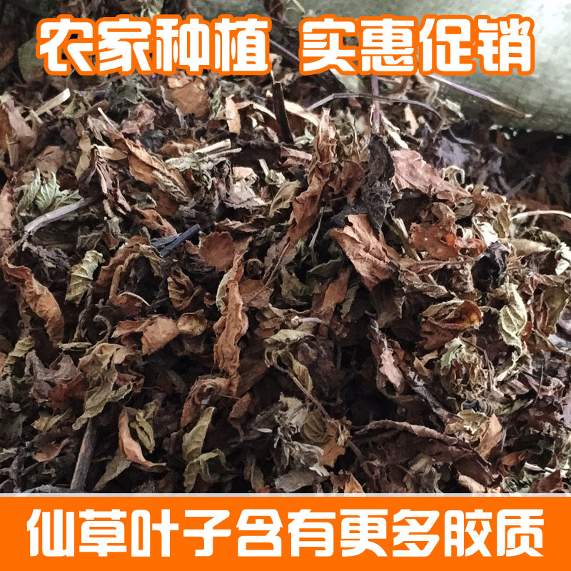 仙草干仙草全叶全叶仙人草黑粉高草500g干姜片小掌柜推荐特惠包邮