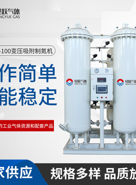 厂家供应PSA39-100变压吸附制氮机食品石油制变压吸附制氮机