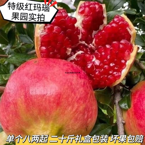 怀远特产红玛瑙甜石榴非蒙自会理新鲜孕妇水果包邮 特级鲜摘大果