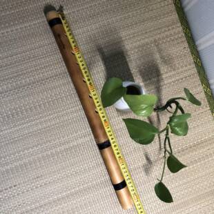 高档乐器莫后的西干人德罗秘鲁进/口印第桑安盖纳箫笛子专业C/DG