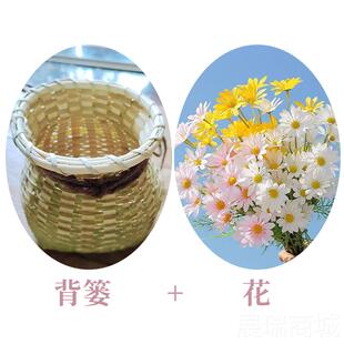 高档春和景明舞蹈服汉服古典舞花演具出服背篓桃道古儿童汉唐风表