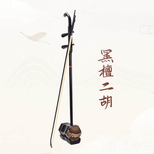 高档VLHI黑NS薇琳斯E35专业演用奏初学考级成人儿童通二胡小叶紫