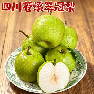 四川苍溪翠冠梨青皮梨甄选大果现摘当季水果脆甜多汁正宗高山脆梨