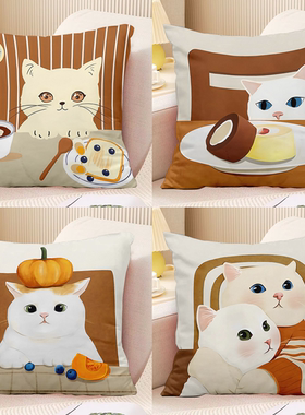 北欧轻奢线条几何抱枕简约橙色花卉枕套灰色沙发咕臣民宿猫咪靠垫