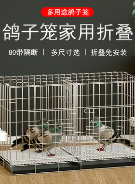 鸽子笼鸽笼家用室内繁殖配对笼80带隔断折叠大鸟笼赛鸽笼特价包邮