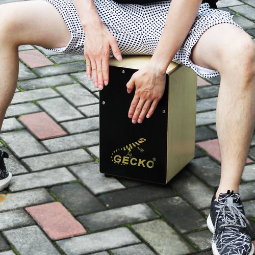 gecko壁虎箱鼓幼儿园俄罗斯学校